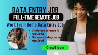 Work from Home Data Entry Job  Fulltime Remote Job Little Experience with no special degree [upl. by Ecidnarb]