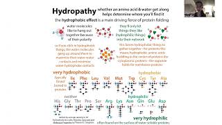 DMSO biochemistry [upl. by Kepner]