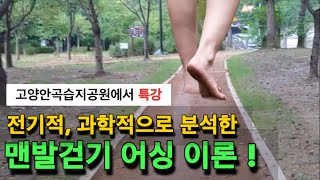 107 전기적과학적으로 분석한 맨발걷기 어싱이론 특강 [upl. by Frodeen]