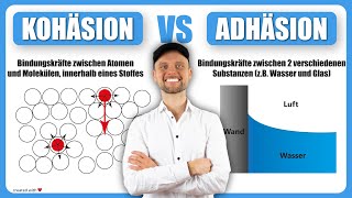 Kohäsion und Adhäsion  Einfach erklärt💡 [upl. by Zales821]