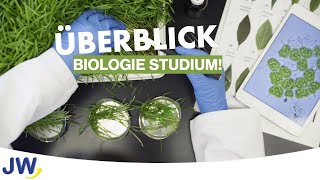 Das Studium der Biologie im Überblick [upl. by Aborn11]