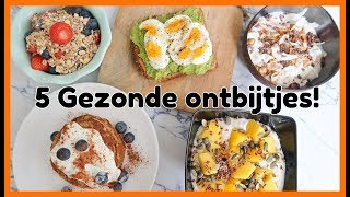 5 Recepten voor een Gezond Ontbijt  OPTIMAVITA [upl. by Nisaj]