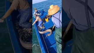 Fishingviral foryourpage foryou viralvideos tranding trandingshorts youtubeshorts popular [upl. by Anauqed]