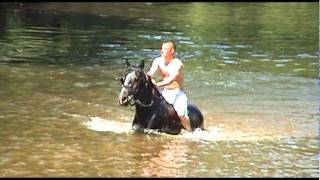 Appleby Horse Fair 2011 [upl. by Anit]