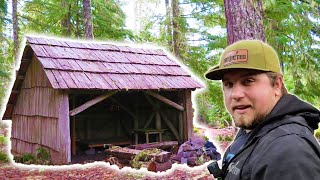 Camping In 100 YR Old ABANDONED Survival CABIN [upl. by Lewse]