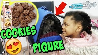 PIQURE chez le VETERINAIRE et COOKIES FACILES  Vlog [upl. by Bezanson200]