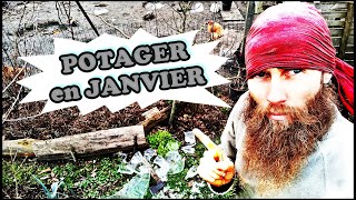 Visite du Jardin Potager EN JANVIER   7°C  ça pique [upl. by Lleryt]