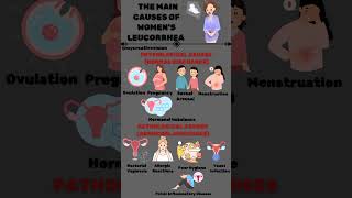 The main causes of womens leucorrhea [upl. by Sang]