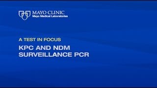 Test In Focus — KPC and NDM Surveillance PCR [upl. by Myk]