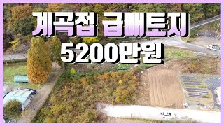 1996 경북 경주시 산내면 대현리 계곡접 급매토지5200만원 [upl. by Ivett]