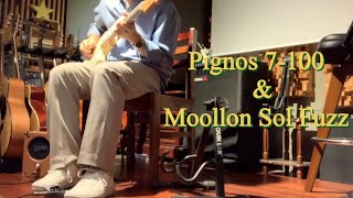 Pignose amp 7100 amp Moollon sol fuzz test [upl. by Melanie]