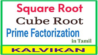 Square root  Cube root  Prime factorization in Tamil  Class 8  Kalvikan [upl. by Eenattirb]