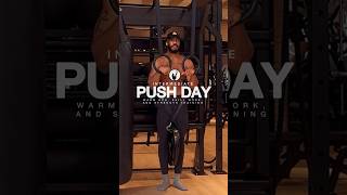 Perfect Intermediate Calisthenics Push Day Workout [upl. by Eimaral523]