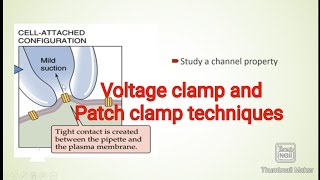 Voltage clamp and patch clamp technique [upl. by Felipe]