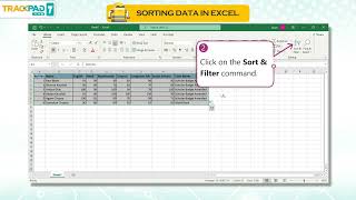 SORTING DATA IN EXCELCh 02Trackpad Pro v5lClass 07 [upl. by Sirroned]