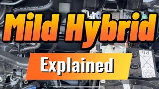 Mild Hybrid System Explained [upl. by Einamrej]