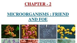 microorganisms friend and foe class 8Science olympiadAPeducationpr6nr [upl. by Odlawso]