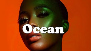 Omay Lay x Rema x Burna Boy Type Beat quotOceanquot Afrobeats 2024  Afrobeat Instrumental 2024 [upl. by Bolton]