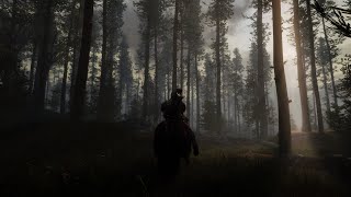 Skyrim SE  Blubbo Pines  Download for all  Custom Modding 2021 Ride through immersive forests [upl. by Gnat]