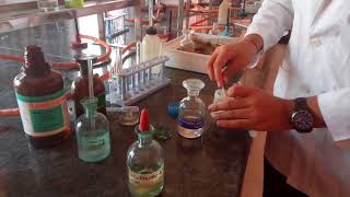 Test for Chloride ion in Lab by Seema Makhijani [upl. by Nyrhtac]