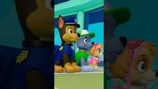 PAW Patrol On A Roll Short Video 14 [upl. by Flor80]