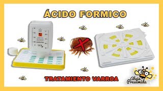 Ácido FORMICO 🐝🧡🎥Tratamiento Varroa [upl. by Aeret]