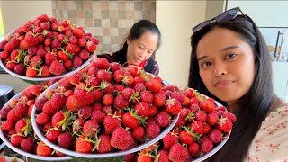 FILIPINA BRITISH LIFE IN UK 8KG ANG NA HARVEST SA STRAWBERRY SA ISANG ARAW BUMAHA SA DAMI [upl. by Lomax30]