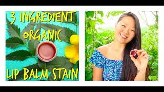 Easy 3 Ingredient Tinted Lip Balm  Organic DIY Lip Stain [upl. by Elon306]