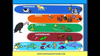 Animal Classification Game  Early Science Game  Identify Mammals Reptiles Birds and more [upl. by Cheng649]