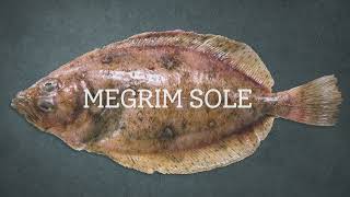 How to cook megrim or Cornish sole with Rich Adams [upl. by Thesda811]