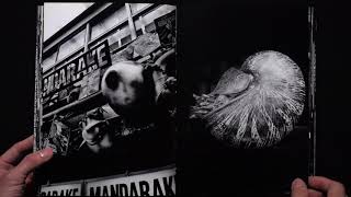 森山大道 Daido Moriyama モノクローム MONOCHROME [upl. by Claresta]