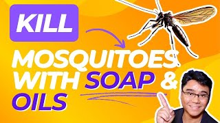 Naturally Kill Mosquitoes with Soap amp Essential Oils [upl. by Palla314]