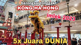 Barongsai tonggak KONG HA HONG imlek 2023 di mall puri indah Jakarta  Menegangkan [upl. by Aronas]