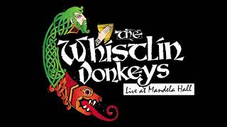 The Whistlin Donkeys  Grace  LIVE at Mandela Hall [upl. by Haskell606]