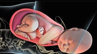 Fertilization Implantation and Childbirth  All you need to Know [upl. by Kane]