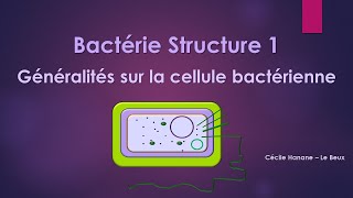 Bactérie Structure 1 BACTERIE [upl. by Yeffej633]