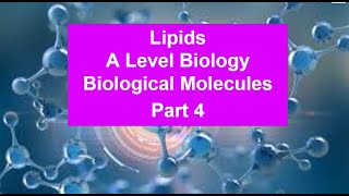 Part 4 Lipids  Biological Molecules [upl. by Etrem281]