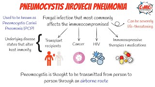 CoMICs Episode 51 Pneumocystis Jiroveci Pneumonia [upl. by Nylhtak972]