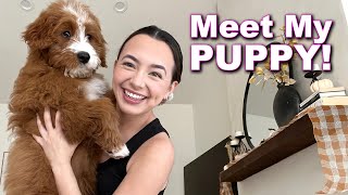 Meet My PUPPY with Veronica [upl. by Ellennoj]