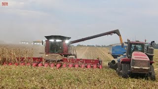 CASE IH 9250 AxialFlow Combines Harvesting Corn [upl. by Norman359]