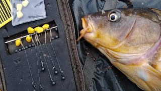 My favorite carp rig How to tie a hair rig and method lead Best Carp fishing rig [upl. by Ramar397]