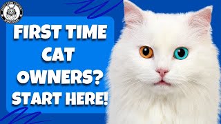 The Ultimate Guide for FirstTime Cat Owners [upl. by Zena]