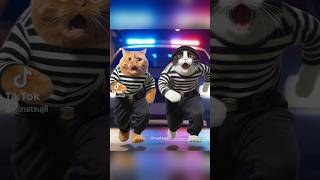 Actions have consequences 😔 aicats aiart catlover shortstory tiktok viral [upl. by Kcirej]