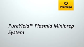 PureYield™ Plasmid Miniprep System [upl. by Thorwald169]