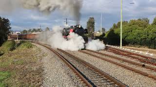 R766 on 9S91 at telarah on 6 7 24 the dungog picnic train [upl. by Ydnelg]