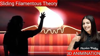 Sliding Filamentous Theory by SAMAPTI MAM 😎3D ANIMINATION 😲Samapti mam❤️ NEET PW [upl. by Alodee671]