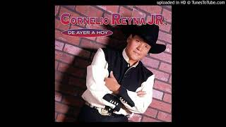 Cornelio Reyna Jr  Y Soñe Y Soñe ft Kiko Montalvo 1997 [upl. by Lois705]