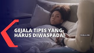 Bisa Berakibat Fatal Waspadai Gejala Tipes [upl. by Caraviello985]