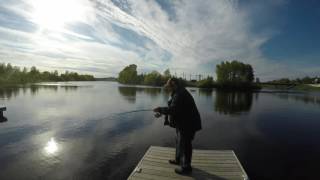 sturgeon fishing  the dock in Timmins Ontario [upl. by Aniz877]