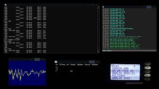 Decoding DMR Signals Using DSD And A Whistler TRX2 Scanner [upl. by Waneta]